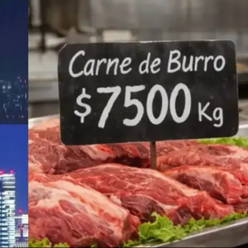 EL PERIODISTA TREBUCQ DEFENDI&Oacute; EL CONSUMO DE CARNE DE BURRO