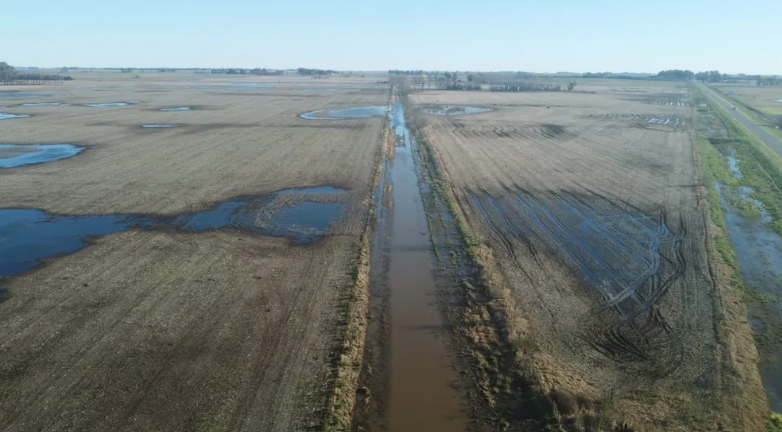 LA PROVINCIA PRORROGÓ LA EMERGENCIA AGROPECUARIA EN DOS DISTRITOS DEL SUDOESTE