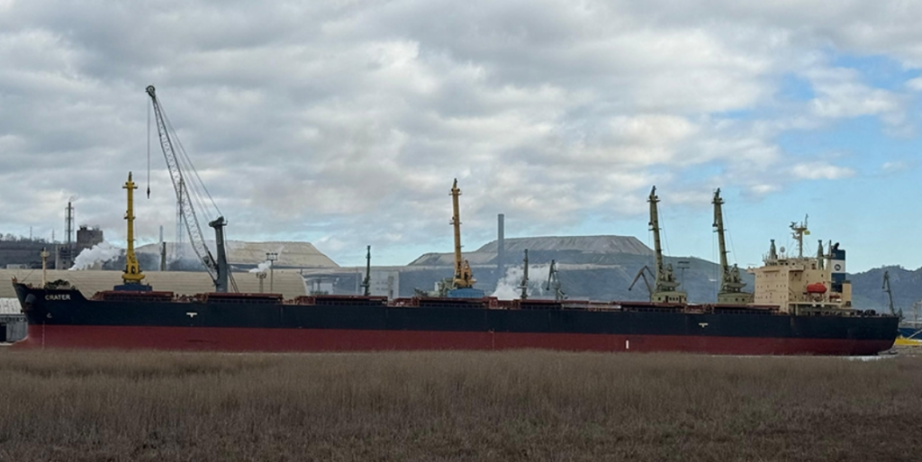 DURO REV&Eacute;S A LA DESREGULACI&Oacute;N DE STURZENNEGER: RECHAZAN UN CARGAMENTO DE GIRASOL ARGENTINO EN EUROPA POR NO CUMPLIR REQUISITOS FITOSANITARIOS