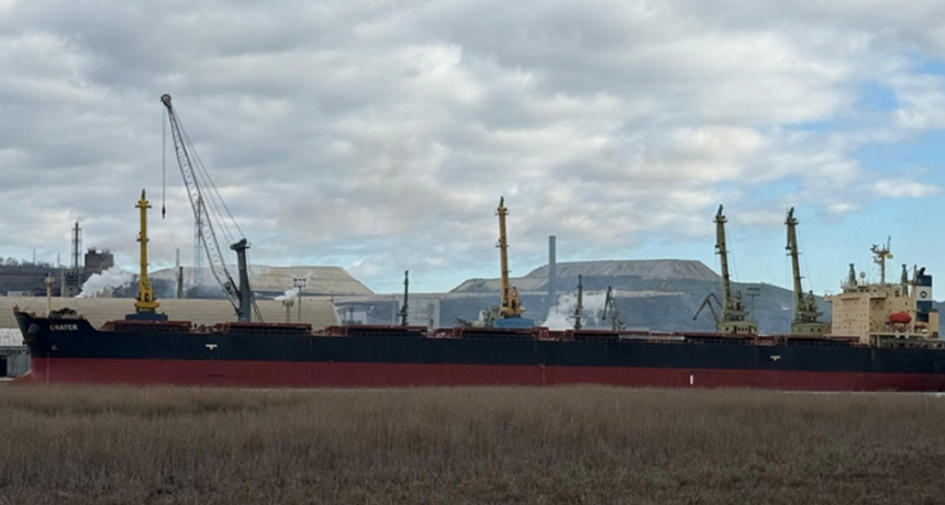 DURO REV&Eacute;S A LA DESREGULACI&Oacute;N DE STURZENNEGER: RECHAZAN UN CARGAMENTO DE GIRASOL ARGENTINO EN EUROPA POR NO CUMPLIR REQUISITOS FITOSANITARIOS