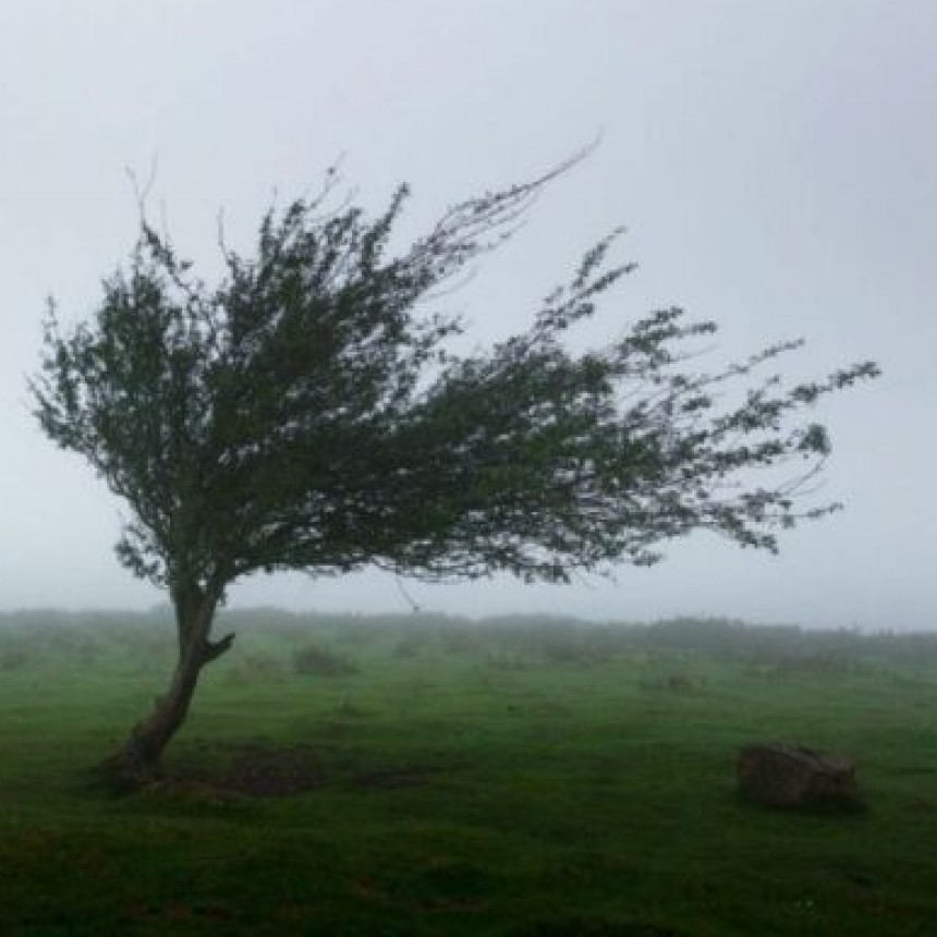 ALERTAS POR FUERTES VIENTOS PARA TODA LA PROVINCIA DE BUENOS AIRES
