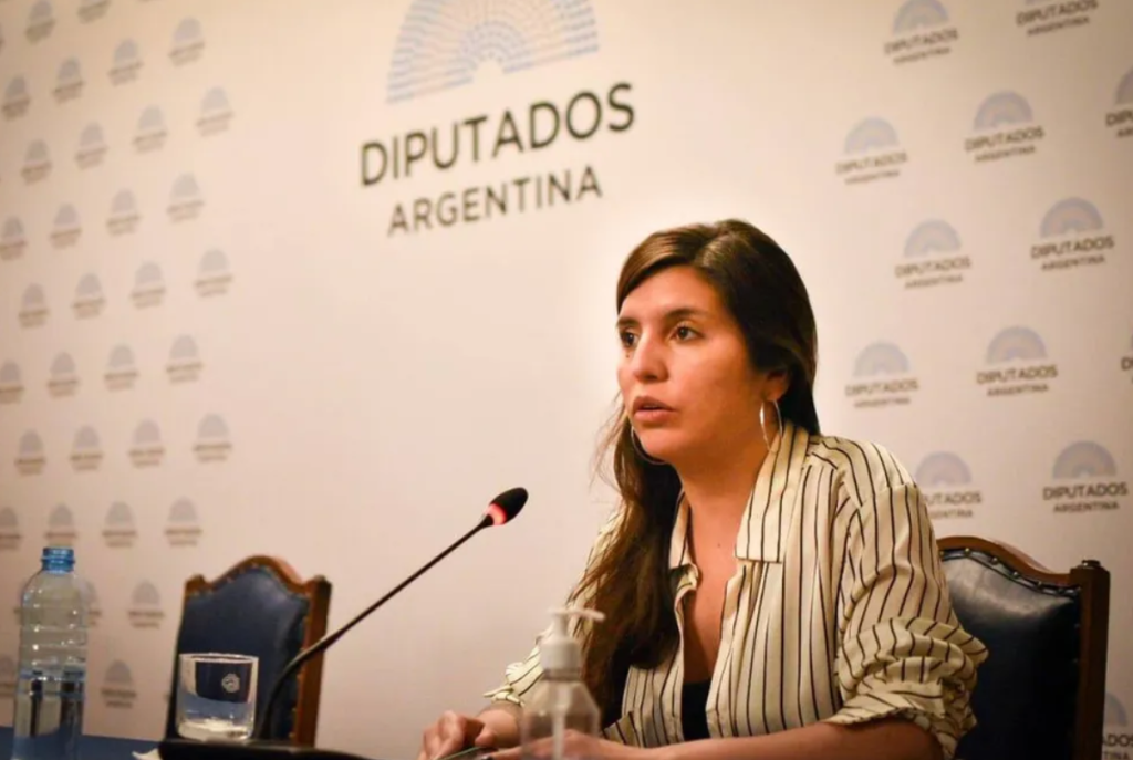 PROVINCIA RECHAZ&Oacute; LA NUEVA VERSI&Oacute;N DE LA LEY SOBRE VENTA DE TIERRAS A EXTRANJEROS: "ES UNA TRAMPA"