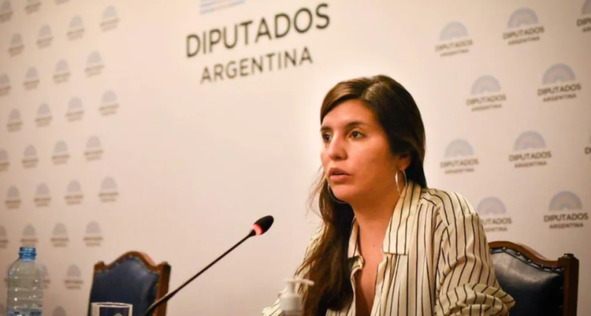 PROVINCIA RECHAZ&Oacute; LA NUEVA VERSI&Oacute;N DE LA LEY SOBRE VENTA DE TIERRAS A EXTRANJEROS: "ES UNA TRAMPA"