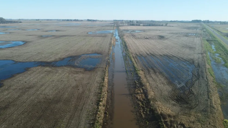 INUNDACIONES: DECLARAN LA EMERGENCIA AGROPECUARIA EN 9 DE JULIO Y PARTE DE NECOCHEA