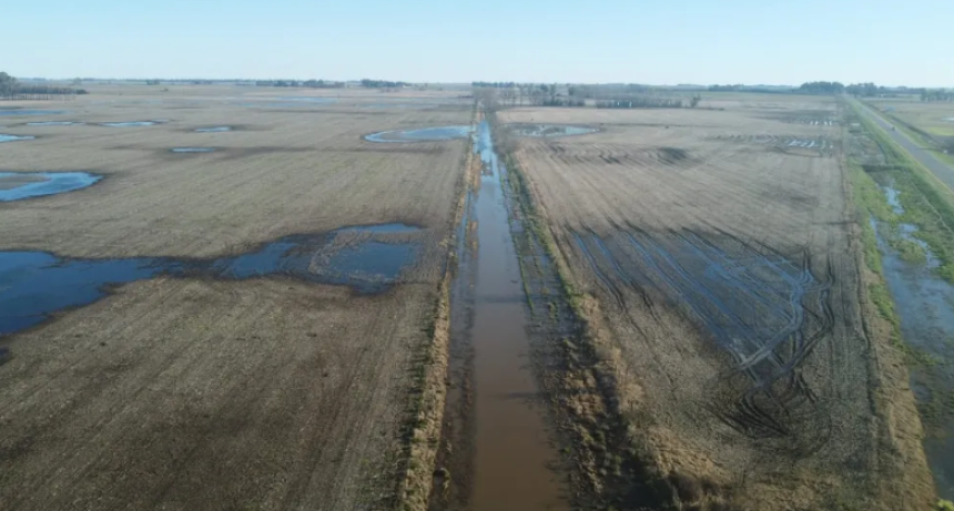 INUNDACIONES: DECLARAN LA EMERGENCIA AGROPECUARIA EN 9 DE JULIO Y PARTE DE NECOCHEA