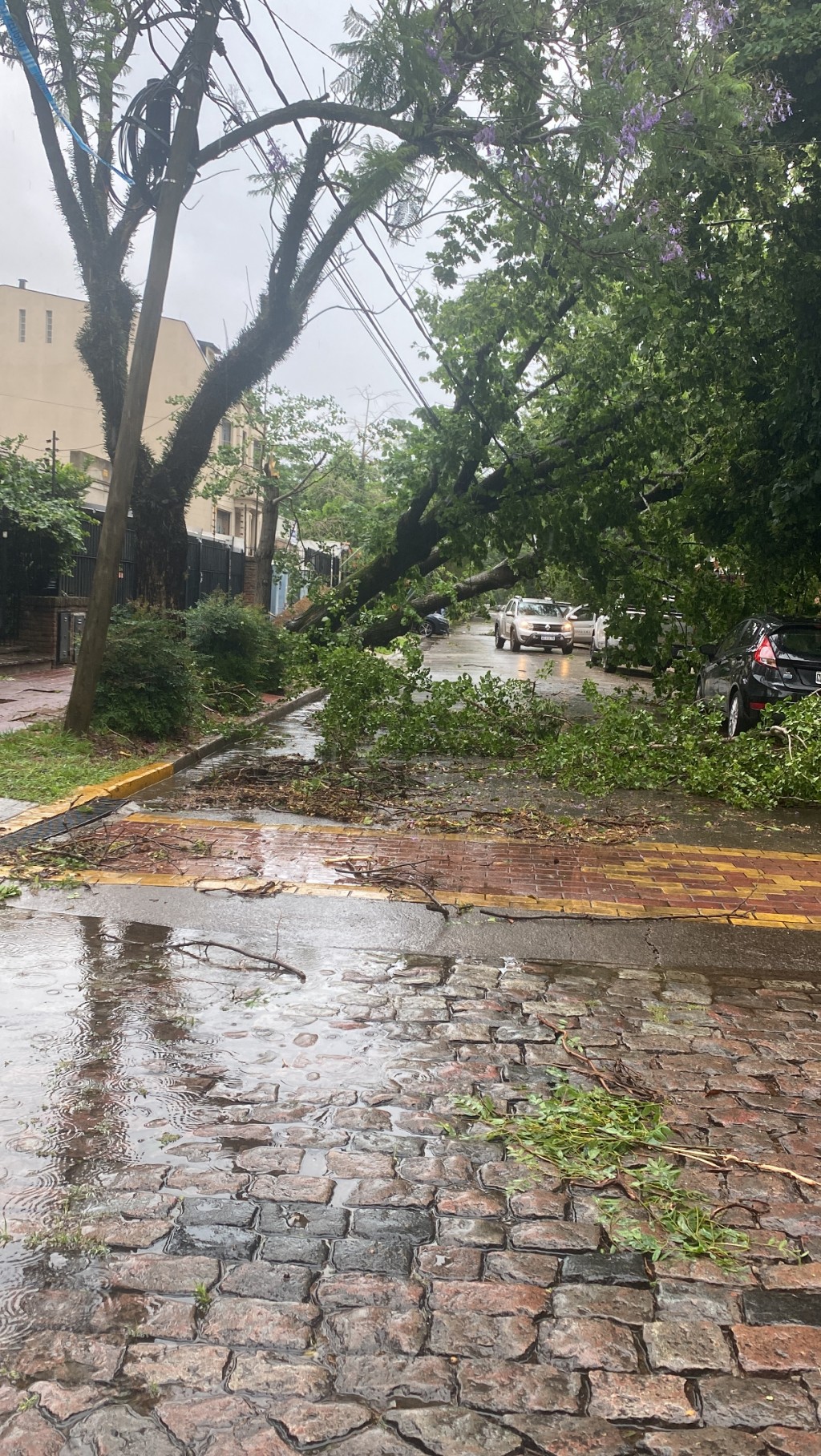 LAS IMAGENES QUE DEJÓ EL TORNADO EN BUENOS AIRES