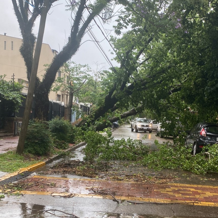 LAS IMAGENES QUE DEJÓ EL TORNADO EN BUENOS AIRES