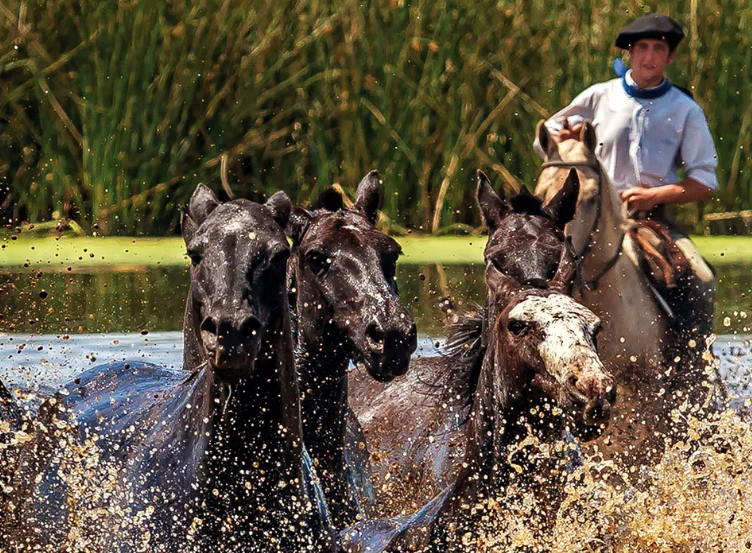 FIN DE SEMANA XL CON TRADICIÓN, CERVEZA, QUESO, CORDERO DESHUESADO Y OMELETTE GIGANTE